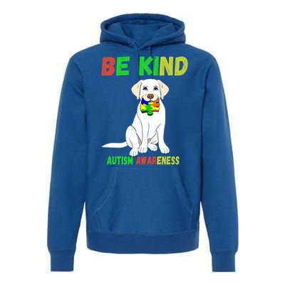 Autism Awareness Be Kind Gift Premium Hoodie