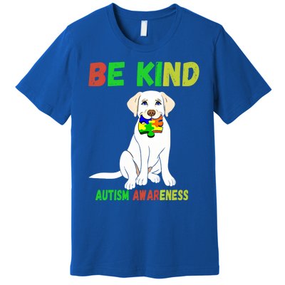 Autism Awareness Be Kind Gift Premium T-Shirt