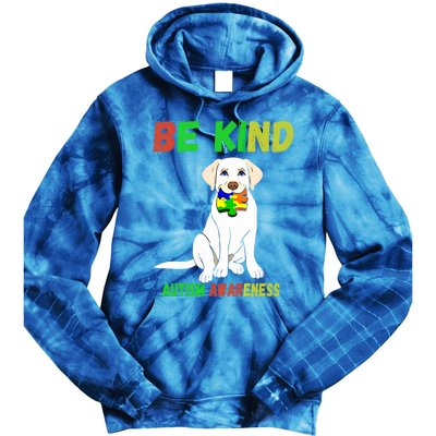 Autism Awareness Be Kind Gift Tie Dye Hoodie