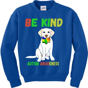 Autism Awareness Be Kind Gift Kids Sweatshirt