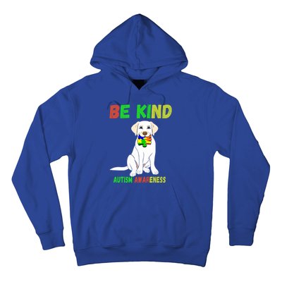 Autism Awareness Be Kind Gift Hoodie