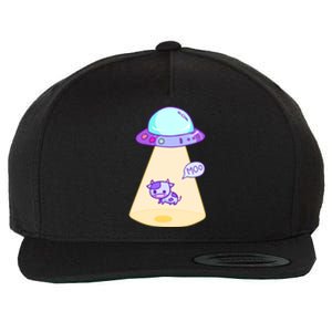 Abduction Wool Snapback Cap