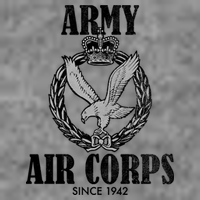Army Air Corps Since 1942 Tall Hoodie