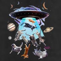 Aliens Abducting Cats Cat Kittens Ufo Saucer Cat Lover Gifts Adult Drive Performance Visor