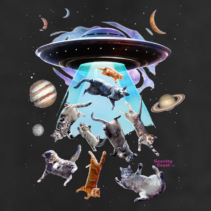 Aliens Abducting Cats Cat Kittens Ufo Saucer Cat Lover Gifts Adult Drive Performance Visor