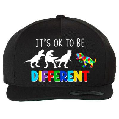 Autism Awareness Cute Dinosaur Gift ItS Ok To Be Different Gift Wool Snapback Cap