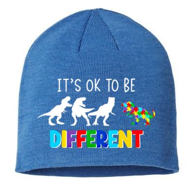 Autism Awareness Cute Dinosaur Gift ItS Ok To Be Different Gift Sustainable Beanie