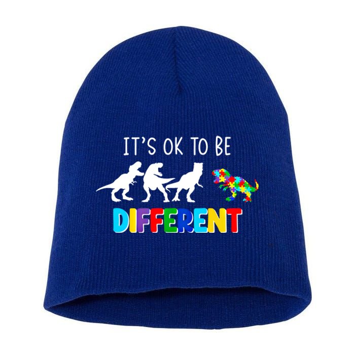 Autism Awareness Cute Dinosaur Gift ItS Ok To Be Different Gift Short Acrylic Beanie