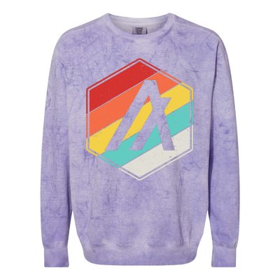 Algorand ALGO Coin Cryptocurrency Retro Colors Colorblast Crewneck Sweatshirt