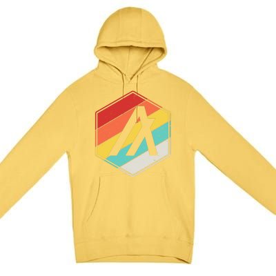 Algorand ALGO Coin Cryptocurrency Retro Colors Premium Pullover Hoodie