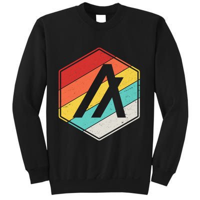 Algorand ALGO Coin Cryptocurrency Retro Colors Sweatshirt