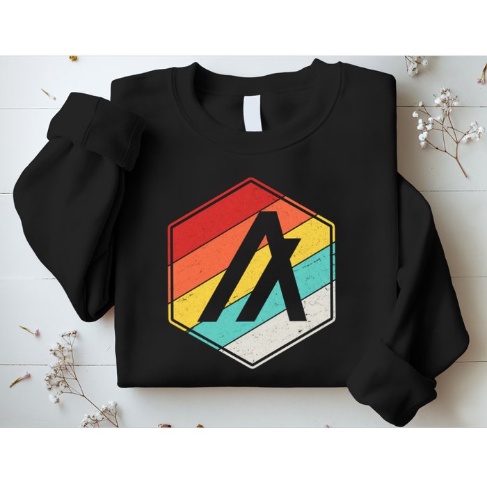 Algorand ALGO Coin Cryptocurrency Retro Colors Sweatshirt