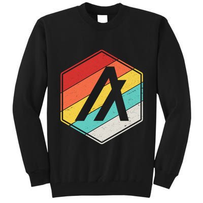 Algorand ALGO Coin Cryptocurrency Retro Colors Tall Sweatshirt