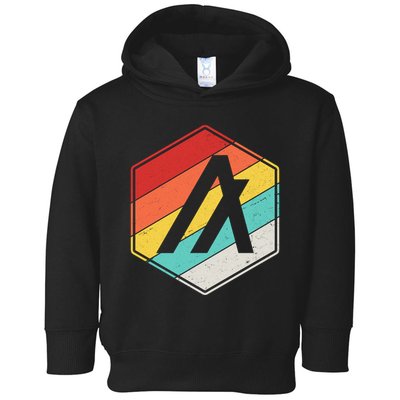 Algorand ALGO Coin Cryptocurrency Retro Colors Toddler Hoodie