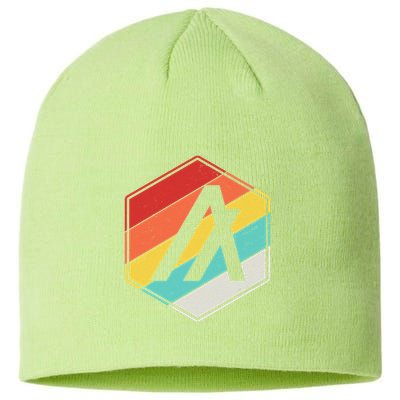 Algorand ALGO Coin Cryptocurrency Retro Colors Sustainable Beanie
