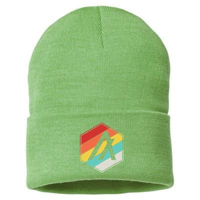 Algorand ALGO Coin Cryptocurrency Retro Colors Sustainable Knit Beanie