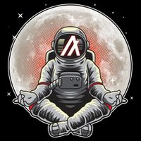 Algorand ALGO Coin Cryptocurrency Yogo Astronaut Tall T-Shirt