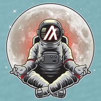 Algorand ALGO Coin Cryptocurrency Yogo Astronaut Sueded Cloud Jersey T-Shirt