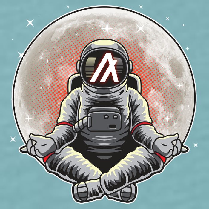 Algorand ALGO Coin Cryptocurrency Yogo Astronaut Sueded Cloud Jersey T-Shirt