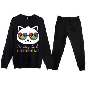 Autism Awareness Cat Warrior It's Ok To Be Different Premium Crewneck Sweatsuit Set