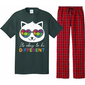 Autism Awareness Cat Warrior It's Ok To Be Different Pajama Set