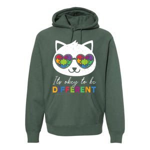 Autism Awareness Cat Warrior It's Ok To Be Different Premium Hoodie