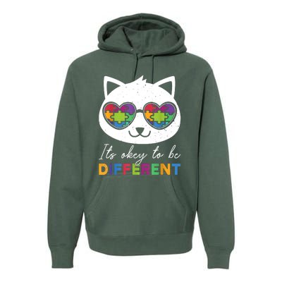 Autism Awareness Cat Warrior It's Ok To Be Different Premium Hoodie