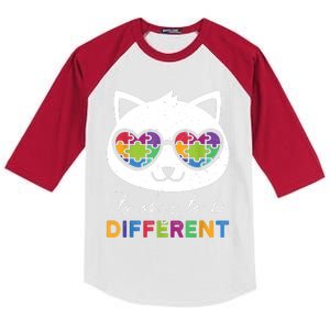 Autism Awareness Cat Warrior It's Ok To Be Different Kids Colorblock Raglan Jersey