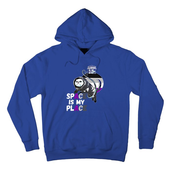 Asexual Astronaut Cat Retro Space Is My Place Ace Asexuality Gift Hoodie