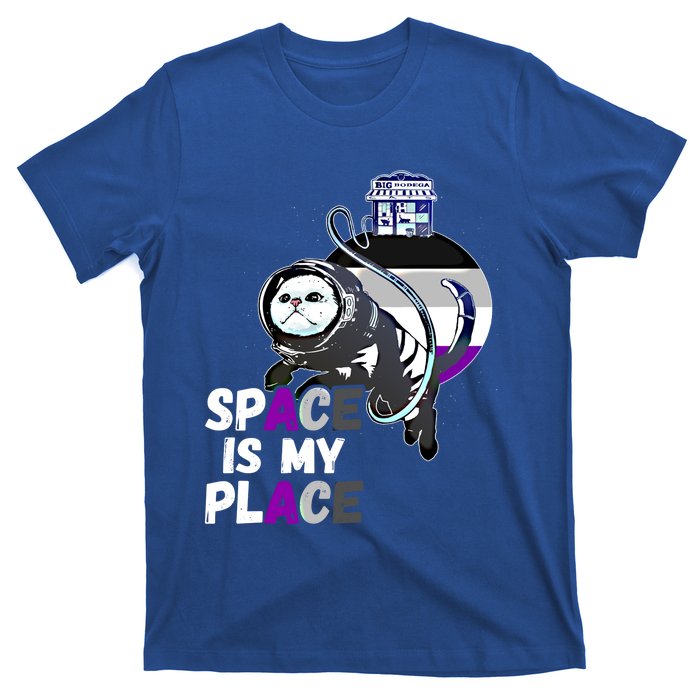 Asexual Astronaut Cat Retro Space Is My Place Ace Asexuality Gift T-Shirt