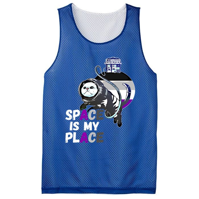 Asexual Astronaut Cat Retro Space Is My Place Ace Asexuality Gift Mesh Reversible Basketball Jersey Tank