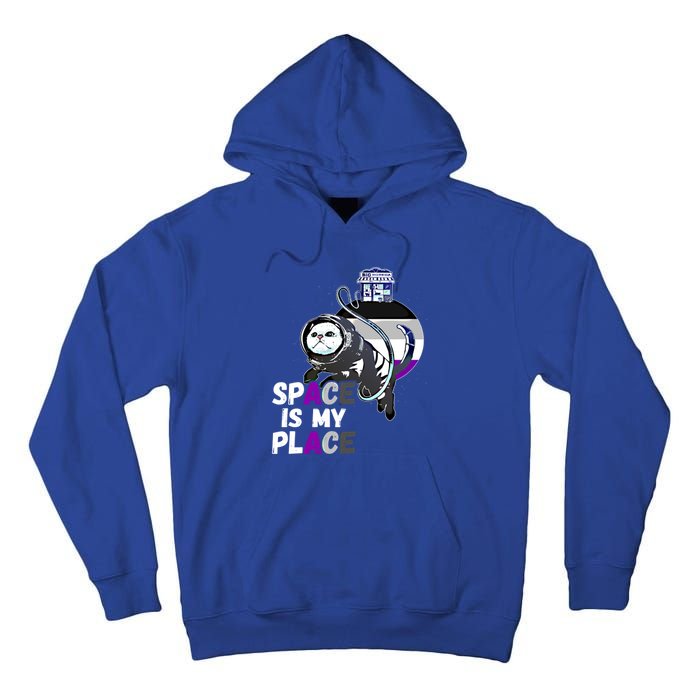 Asexual Astronaut Cat Retro Space Is My Place Ace Asexuality Gift Tall Hoodie