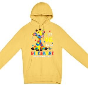 Autism Awareness Cute Giraffe Animals Cute Gift Premium Pullover Hoodie