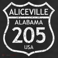 Alabama Area Code 205 Aliceville Al Home State 7 Panel Mesh Trucker Snapback Hat