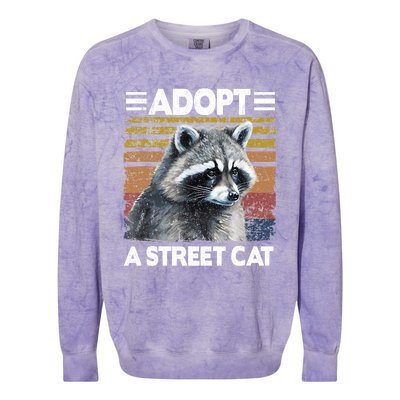 Adopt A Cat Street Watercolor Raccoon Colorblast Crewneck Sweatshirt