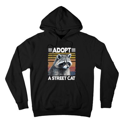 Adopt A Cat Street Watercolor Raccoon Hoodie