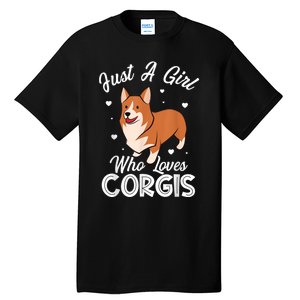 Awesome Artistic Corgi Dog Lover Tee Cute Dog Lover Design Tall T-Shirt