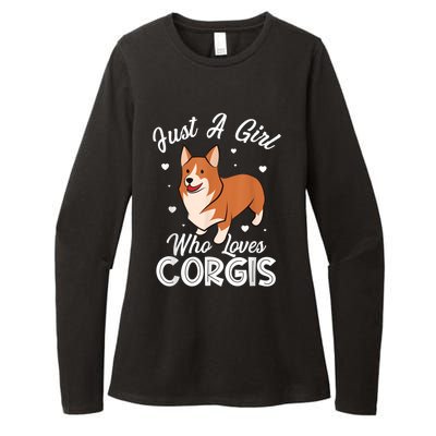 Awesome Artistic Corgi Dog Lover Tee Cute Dog Lover Design Womens CVC Long Sleeve Shirt