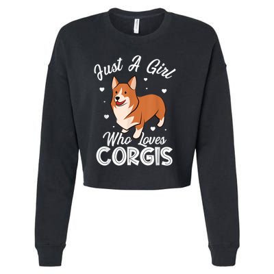 Awesome Artistic Corgi Dog Lover Tee Cute Dog Lover Design Cropped Pullover Crew