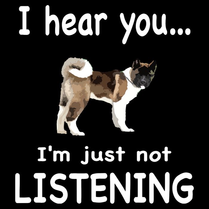 American Akita Dog American Akita Drawstring Bag