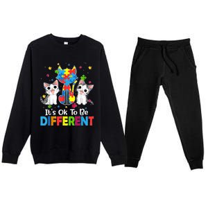 Autism Awareness Day Cat ItS Ok To Be Different Premium Crewneck Sweatsuit Set