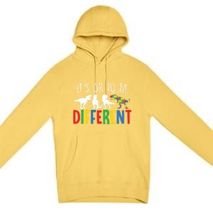 Autism Awareness Dinosaur ItS Ok To Be Different Gift Premium Pullover Hoodie