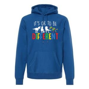 Autism Awareness Dinosaur ItS Ok To Be Different Gift Premium Hoodie