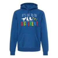 Autism Awareness Dinosaur ItS Ok To Be Different Gift Premium Hoodie