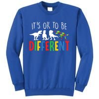 Autism Awareness Dinosaur ItS Ok To Be Different Gift Tall Sweatshirt