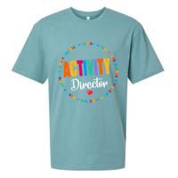 Awesome Activity Director Rock Activity Professionals Week Sueded Cloud Jersey T-Shirt