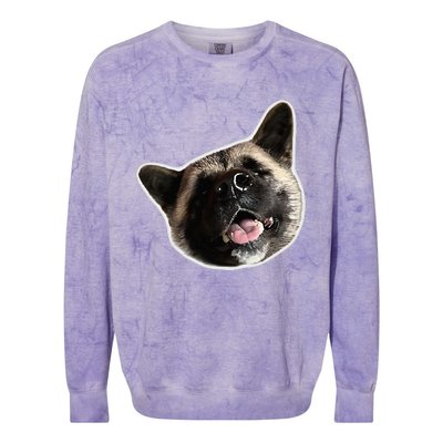 American Akita Dog Lover Design Akita Inu Head Tilt Colorblast Crewneck Sweatshirt