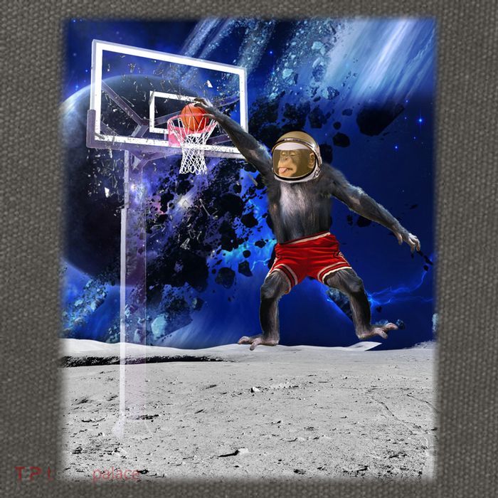 Air Ape Dunking Basketball Monkey Cotton Canvas Backpack