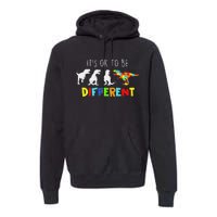 Autism Awareness Dinosaur Kid Boys Its Ok To Be Different Premium Hoodie