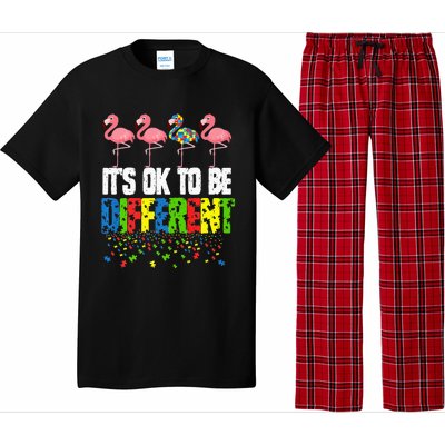 Autism Awareness Day Flamingo Gift It's Ok To Be Different Pajama Set